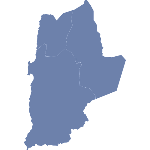 antofagasta v Antofagasta